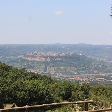 Agriturismo Fattoria Poggio Boalaio Orvieto Eksteriør bilde