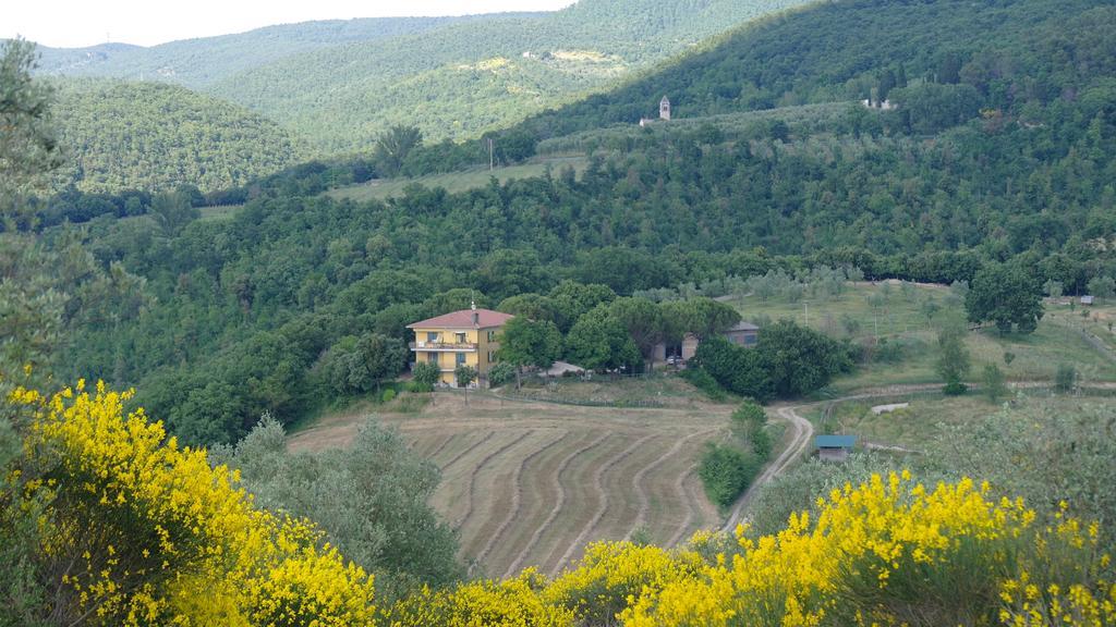 Agriturismo Fattoria Poggio Boalaio Villa Orvieto Eksteriør bilde