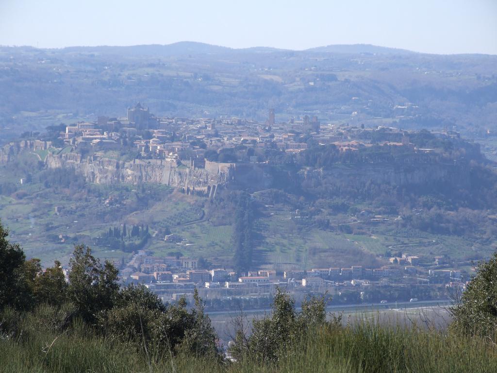 Agriturismo Fattoria Poggio Boalaio Villa Orvieto Eksteriør bilde