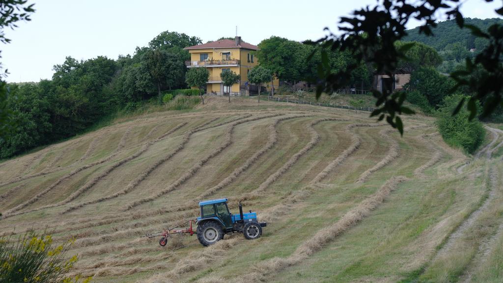 Agriturismo Fattoria Poggio Boalaio Villa Orvieto Eksteriør bilde