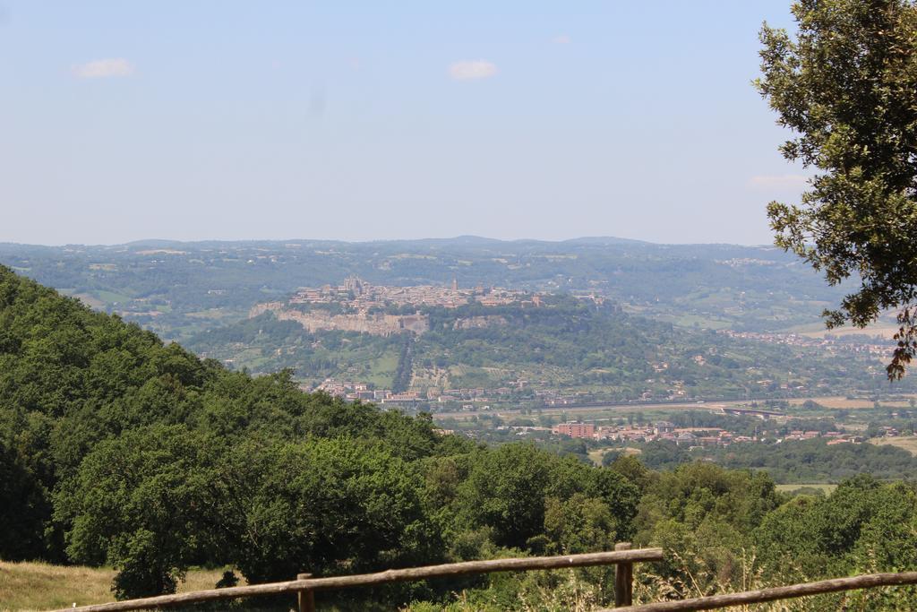 Agriturismo Fattoria Poggio Boalaio Villa Orvieto Eksteriør bilde