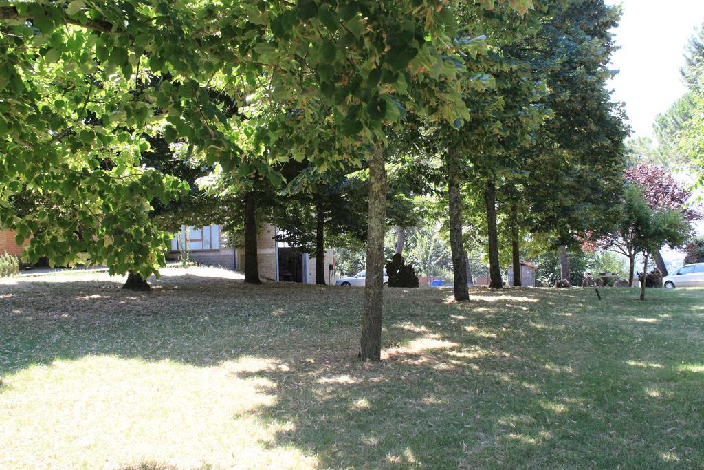 Agriturismo Fattoria Poggio Boalaio Orvieto Eksteriør bilde