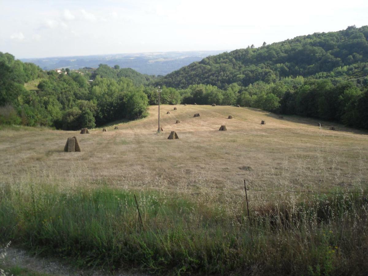 Agriturismo Fattoria Poggio Boalaio Villa Orvieto Eksteriør bilde