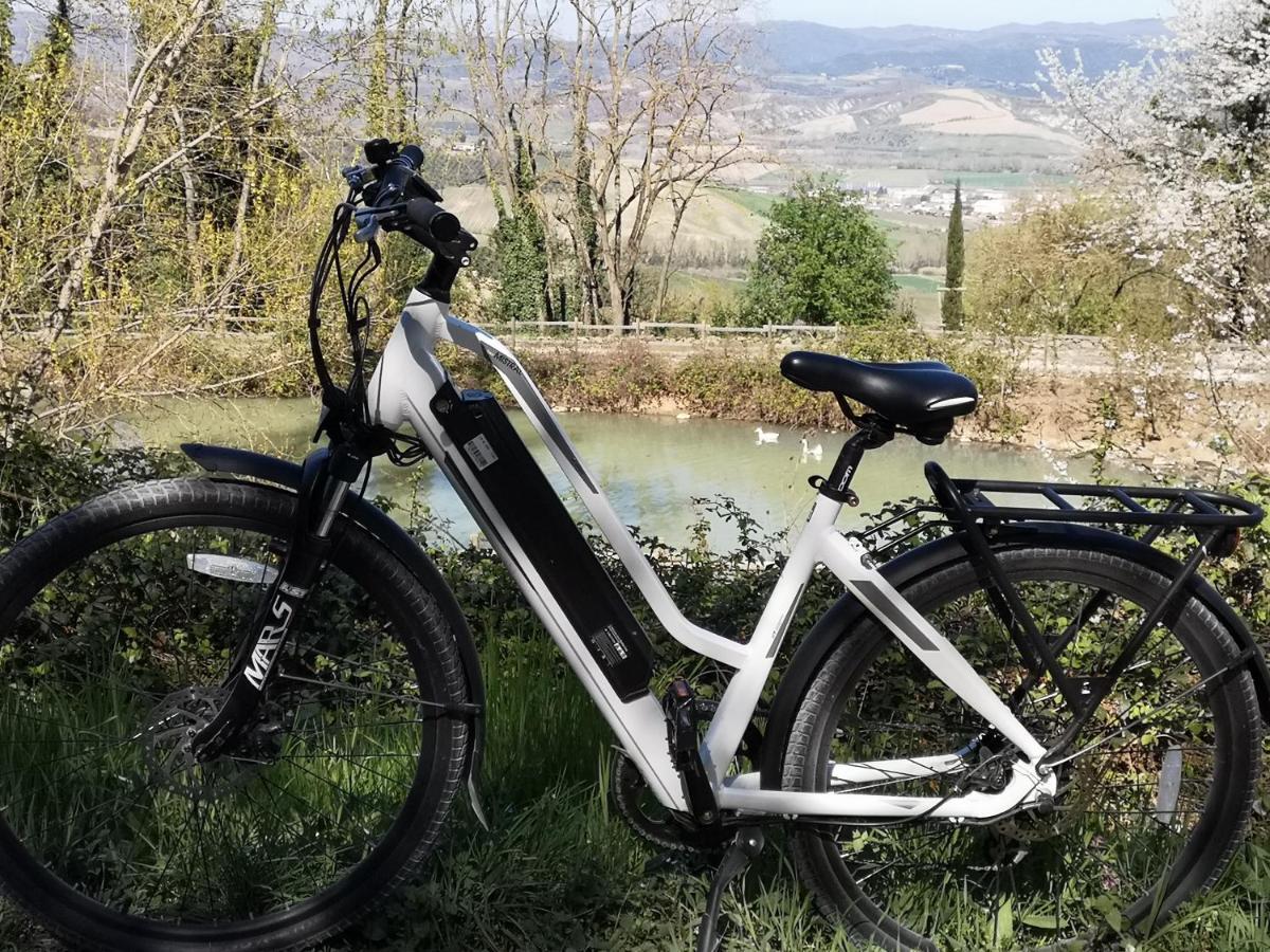 Agriturismo Fattoria Poggio Boalaio Villa Orvieto Eksteriør bilde